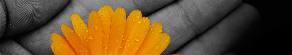 Letters to God and Loves Lost: Day&nbsp;1